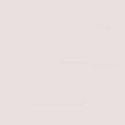 Ejido Jiquilpan Terrain Map