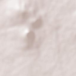 Şalkhad Terrain Map