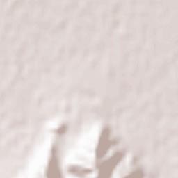 Imanshahr Terrain Map