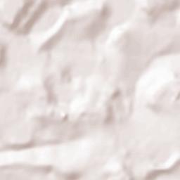 Las Delicias Terrain Map