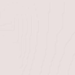 Ejido Nuevo León Terrain Map