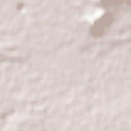 Zarinshahr Terrain Map