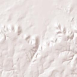 Taylor County Terrain Map