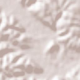 Metlili Chaamba Terrain Map