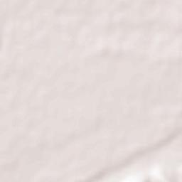 Pathankot Terrain Map