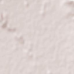 Choliche Terrain Map