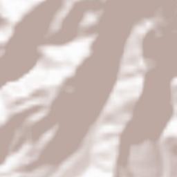 Dharamsala Terrain Map