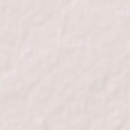 Fazilpur Terrain Map