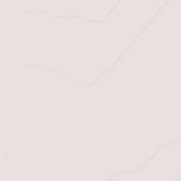 Nuevo Michoacán (Estación Riíto) Terrain Map