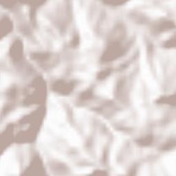 Minamata Shi Terrain Map