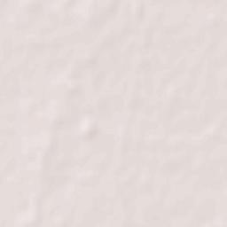 Dina Nagar Terrain Map