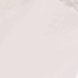 El Porvenir Terrain Map