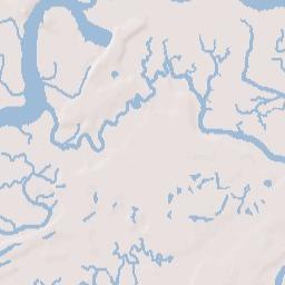 Whitemarsh Island Terrain Map