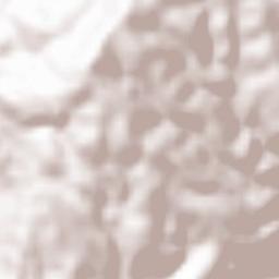 As Salţ Terrain Map