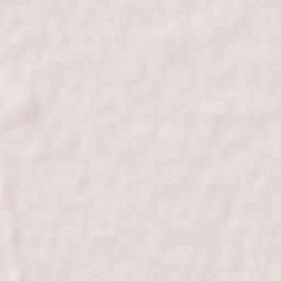 Kalanaur Terrain Map