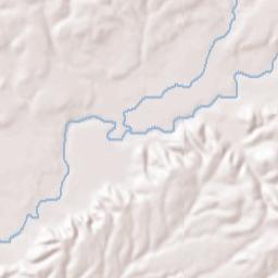 Wilcox County Terrain Map