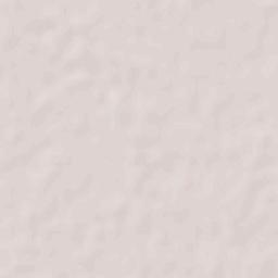 Ash Shāmīyah Terrain Map