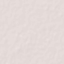 Naushahra Virkan Terrain Map