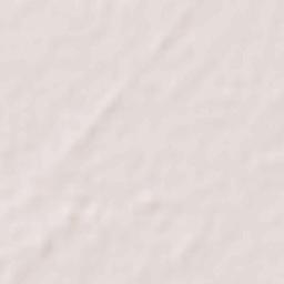 Dhariwal Terrain Map