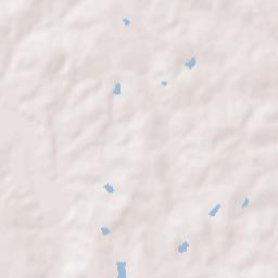 Telfair County Terrain Map