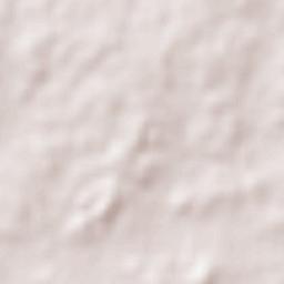 Ness Ziona Terrain Map