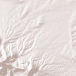 Hidalgo County Terrain Map