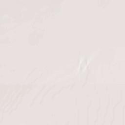 Puerto Palomas Terrain Map