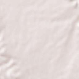 Daulatpur Terrain Map