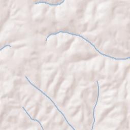 Brundidge Terrain Map