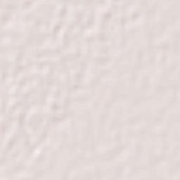 Rajasansi Terrain Map