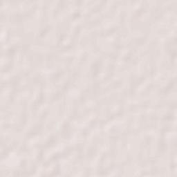 Amritsar Terrain Map