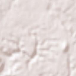 Sueyoshichō-ninokata Terrain Map