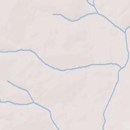 Wayne County Terrain Map