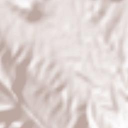 Lordegan Terrain Map