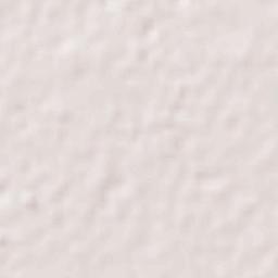 Kapurthala Terrain Map