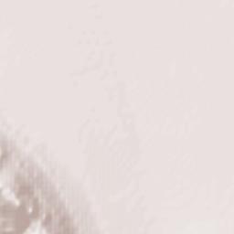 Samalayuca Terrain Map