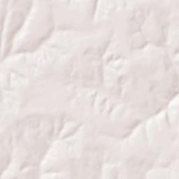 Enterprise Terrain Map