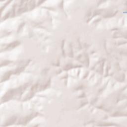 Daleville Terrain Map