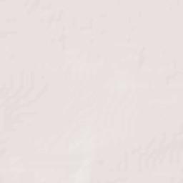 Porvenir Terrain Map