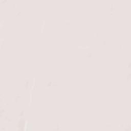 Brantley County Terrain Map