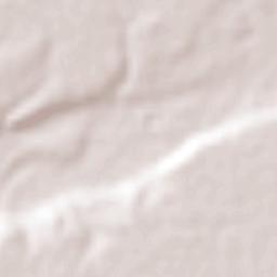 Licenciado Gustavo Díaz Ordaz Terrain Map