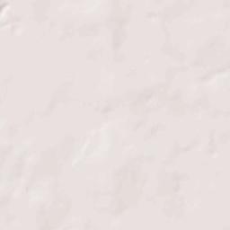 Seminole County Terrain Map