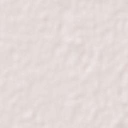 Firozpur Terrain Map