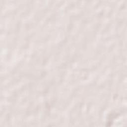 Ludhiana Terrain Map