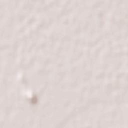 Plutarco Elías Calles (La Y Griega) Terrain Map