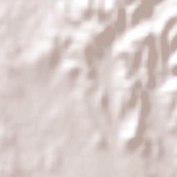 Emiliano Zapata Terrain Map