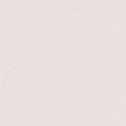 Charlton County Terrain Map