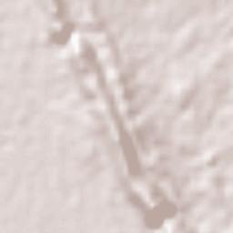 Omidiyeh Terrain Map