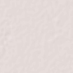 Basti Dosa Terrain Map