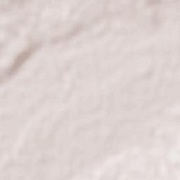 Vicente Guerrero Terrain Map